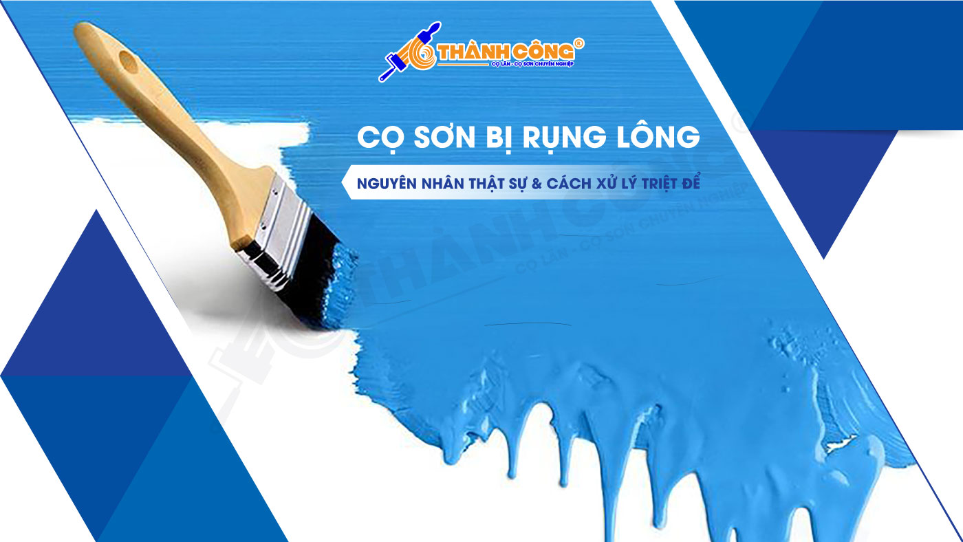 CỌ SƠN BỊ RỤNG LÔNG: NGUYÊN NHÂN THẬT SỰ & CÁCH XỬ LÝ TRIỆT ĐỂ (TRÁNH HỎNG CẢ BỨC TƯỜNG) Cách xử lý cọ sơn khi rụng lông