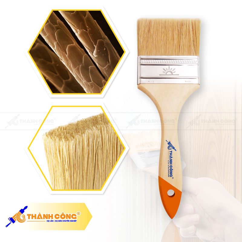 CỌ SƠN BAO NHIÊU TIỀN? SỰ THẬT ĐẰNG SAU MỨC GIÁ MÀ NGƯỜI MỚI THƯỜNG HIỂU SAI Cấu tạo lông cọ sơn